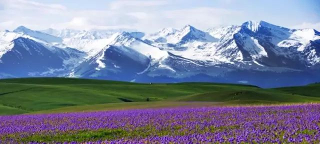 新疆，丝路明珠的多彩旋律