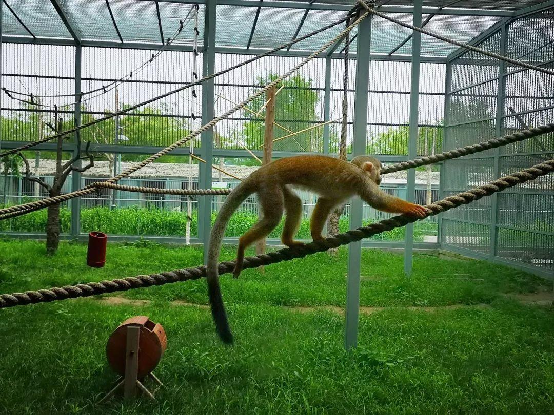 沧州,历史底蕴与现代风采的交融之城