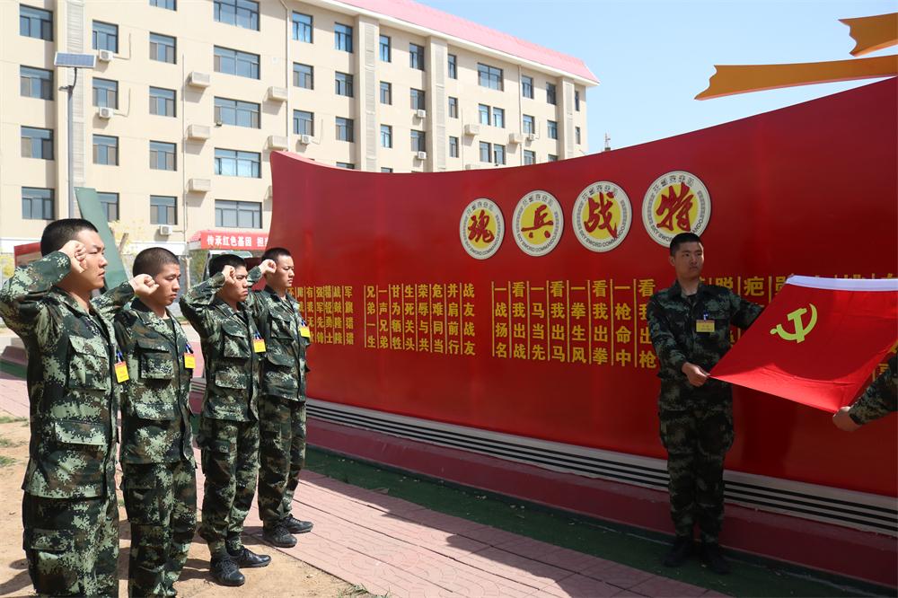 石家庄技能学习攻略,高效完成XX任务的实用指南