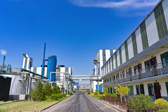 晋中日常故事,友情、家庭与温馨时光的美好交织