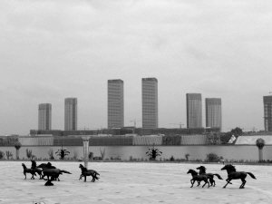 鄂尔多斯盛会，嘉宾云集，观众热情如火